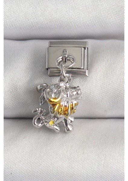 Bfs 316L Çelik Gümüş Renk Sallantı Aslan Model Nomination Charm