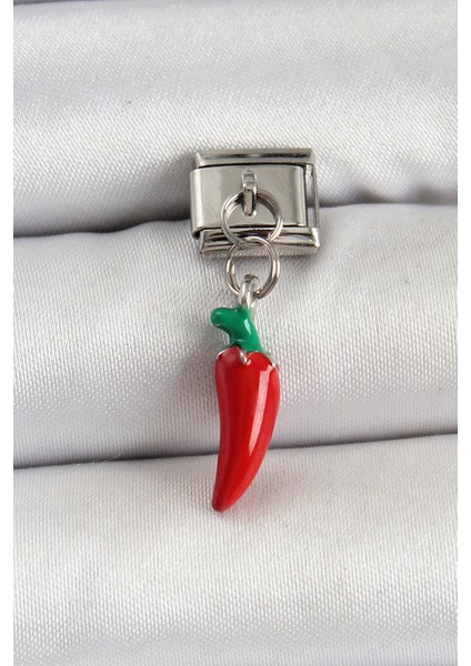 Bfs 316L Çelik Gümüş Renk Kapya Biber Model Nomination Charm