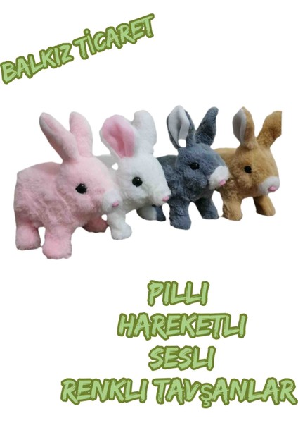 Pilli Zıplayan Oyuncak Tavşan