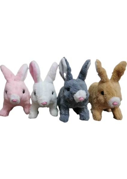 Pilli Zıplayan Oyuncak Tavşan fiyatları