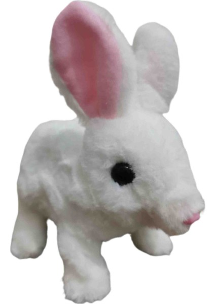 Pilli Zıplayan Oyuncak Tavşan modelleri