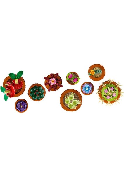 10329 LEGO Botanical Collection - Minik Bitkiler 753 Parça +18 Yaş fırsatları