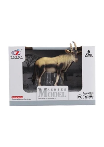 Kutulu Model Antilop modelleri