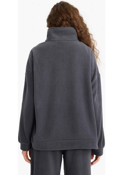 Oversize Geniş Kalıp Dik Yaka Fermuarlı Baskılı Polar Sweatshirt Y2649AZ25WN