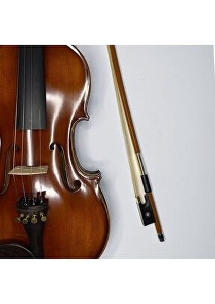 VL-904S Keman Reçine ve Taşıma Kutusu ile Birlikte Profesyonel Performans İçin