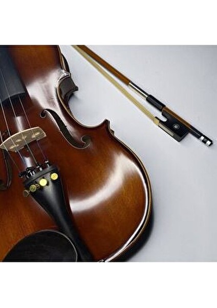 VL-904S Keman Reçine ve Taşıma Kutusu ile Birlikte Profesyonel Performans İçin