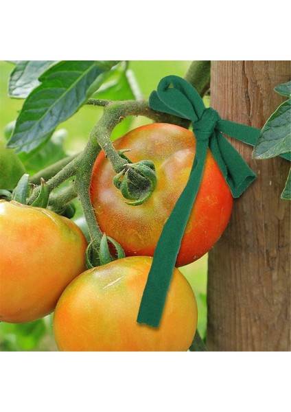 Bahçe Sicim Bahçe Bitki Kravat Ağacı Kravat Esnek Bitki Destek, Bahçe Ofisi ve Ev Için Eğim Sabitleme Aracı (Yurt Dışından)