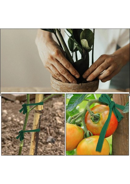 Bahçe Sicim Bahçe Bitki Kravat Ağacı Kravat Esnek Bitki Destek, Bahçe Ofisi ve Ev Için Eğim Sabitleme Aracı (Yurt Dışından) fiyatları