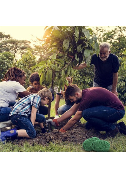 Bahçe Sicim Bahçe Bitki Kravat Ağacı Kravat Esnek Bitki Destek, Bahçe Ofisi ve Ev Için Eğim Sabitleme Aracı (Yurt Dışından) indirimleri