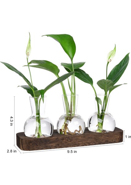 Bitkiler Yayılma Istasyonları Cam Vazo Istasyonu Ahşap Tepsi Ampul Viyazı ile Retro Bitki Teraryum Ev Ofis Dekoru (Yurt Dışından) fiyatları