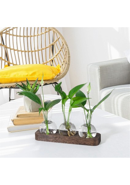 Bitkiler Yayılma Istasyonları Cam Vazo Istasyonu Ahşap Tepsi Ampul Viyazı ile Retro Bitki Teraryum Ev Ofis Dekoru (Yurt Dışından) modelleri
