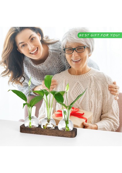 Bitkiler Yayılma Istasyonları Cam Vazo Istasyonu Ahşap Tepsi Ampul Viyazı ile Retro Bitki Teraryum Ev Ofis Dekoru (Yurt Dışından) fırsatları