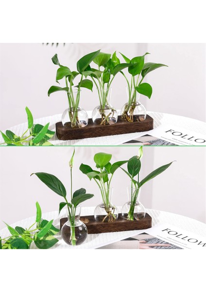 Bitkiler Yayılma Istasyonları Cam Vazo Istasyonu Ahşap Tepsi Ampul Viyazı ile Retro Bitki Teraryum Ev Ofis Dekoru (Yurt Dışından) indirimleri