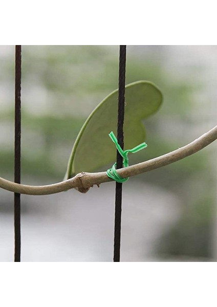 Bahçecilik Bükülmüş Twired Tel Bükülmüş Yeşil Tel, Ev Kullanımı, Ofis (20M, Yeşil) (Yurt Dışından) fiyatları