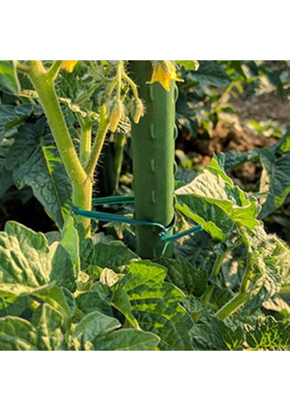 Bahçecilik Bükülmüş Twired Tel Bükülmüş Yeşil Tel, Ev Kullanımı, Ofis (20M, Yeşil) (Yurt Dışından) modelleri