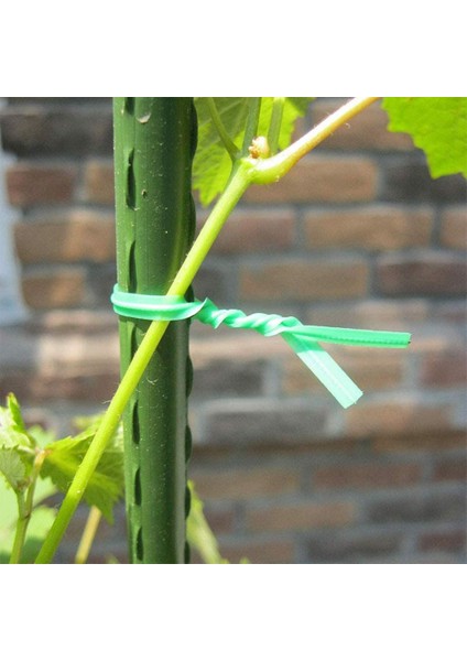 Bahçecilik Bükülmüş Twired Tel Bükülmüş Yeşil Tel, Ev Kullanımı, Ofis (20M, Yeşil) (Yurt Dışından) indirimleri