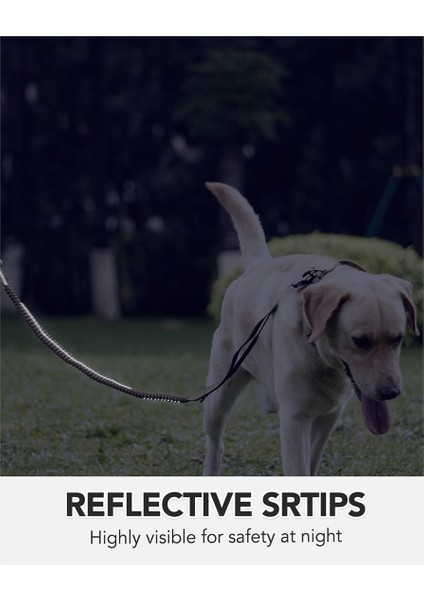 Köpek Tasma Ağır Hizmet, 4-6ft Şok Emici Bungee Köpek Tasması+2 Yastıklı Sap, Metal Karabin Klibi, Araba Emniyet Kemeri Khaki (Yurt Dışından) modelleri