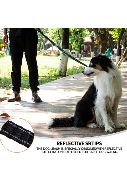 Köpek Tasma Ağır Hizmet, 4-6ft Şok Emici Bungee Köpek Tasması+2 Yastıklı Sap, Metal Karabin Klibi, Araba Emniyet Kemeri Siyah (Yurt Dışından) fiyatları