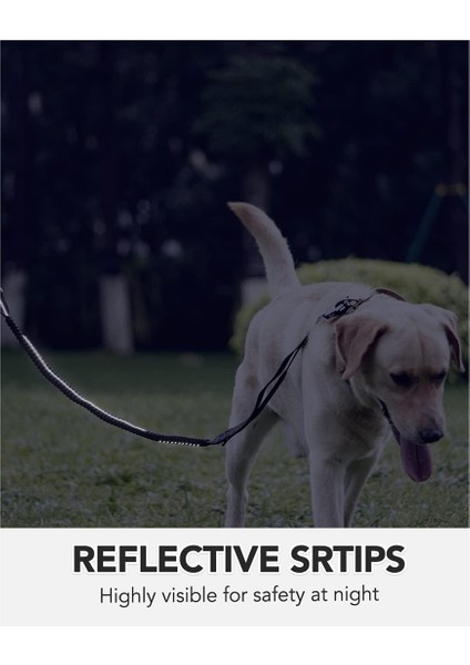 Köpek Tasma Ağır Hizmet, 4-6ft Şok Emici Bungee Köpek Tasması+2 Yastıklı Sap, Metal Karabin Klibi, Araba Emniyet Kemeri Siyah (Yurt Dışından) fırsatları