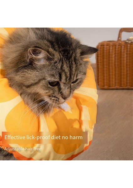 Kedi Yaka, Evcil Hayvan Boyun Konisi, Yumuşak, Aşınmaya Dayanıklı Kedi Aksesuarları, Kedi Yarası Iyileştirici Koruyucu Yaka S (Yurt Dışından) fırsatları