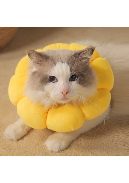 Ayçiçeği Pet Yakası Kedi Yakası Yalanma-Kötü, Isırma Korumalı ve Çırpma Koşullu Koruyucu Yaka M (Yurt Dışından) fırsatları