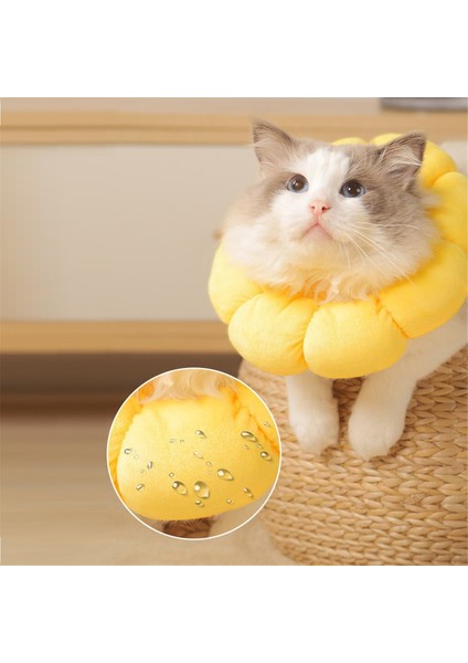 Ayçiçeği Pet Yakası Kedi Yakası Yalanma-Kötü, Isırma Korumalı ve Çırpma Koşullu Koruyucu Yaka M (Yurt Dışından) indirimleri