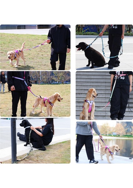 Pet Dog Patlamalı Tasma Pet Pet Tasma Bel Crossbody Free Hands Köpek Tasma Mor (Yurt Dışından) fırsatları