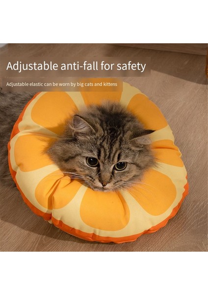 Kedi Yaka, Evcil Hayvan Boyun Konisi, Yumuşak, Aşınmaya Dayanıklı Kedi Aksesuarları, Kedi Yarası Iyileştirici Koruyucu Yaka M (Yurt Dışından) fiyatları