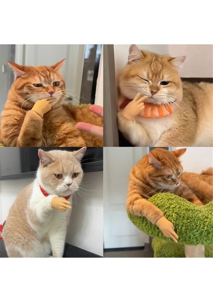 Gerilebilir Tpr Eller Kedi Oyuncak, Kediler Için Mini Eller, Yeni Gerilebilir Tpr Elleri Kedi Oyuncak, Kediler Için Parmak Eldivenleri 3 Adet (Yurt Dışından) fırsatları
