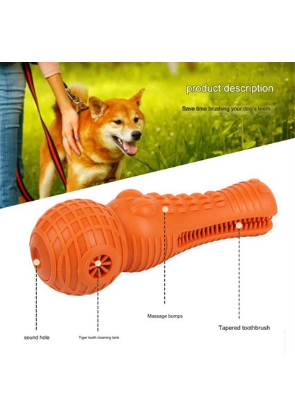 Köpek Oyuncak Kemiren Simülasyon Timsah Molar Çubuk Köpek Diş Fırçası Vokal Dişleri Temizleme Yeşil (Yurt Dışından) modelleri
