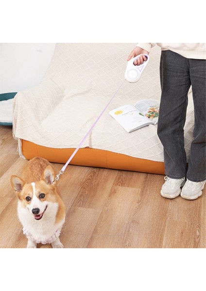 3 Metre LED El Feneri Pet Tasma Geri Çekilebilir Işıklı Gece Açık Hava Yürüyüş Slip Soy Sarf Malzemeleri, B (Yurt Dışından) fırsatları