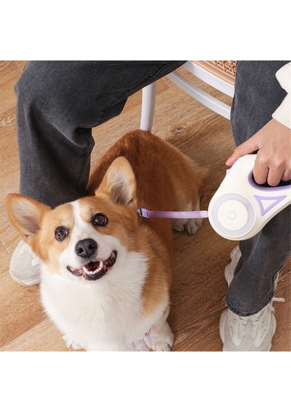 3 Metre LED El Feneri Pet Tasma Geri Çekilebilir Işıklı Gece Açık Hava Yürüyüş Slip Soy Sarf Malzemeleri, C (Yurt Dışından) indirimleri