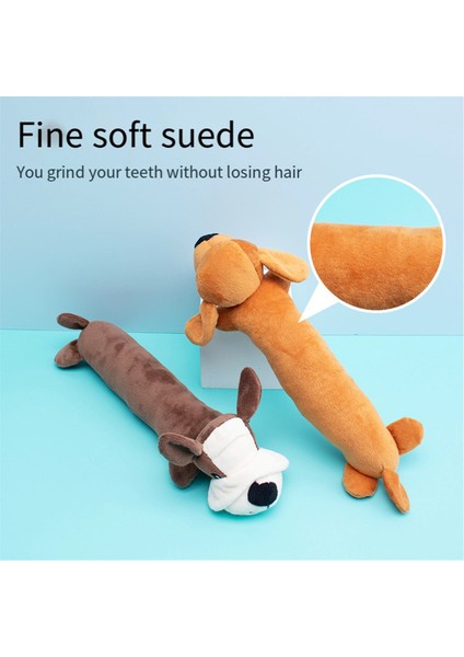 3pcs Evcil Köpek Oyuncak Interaktif Gıcırtılı Molar Peluş Oyuncak Köpekler Için Uygun Köpekler Komik Çiğneme Oyuncak Evcil Hayvanlar Malzemeleri (Yurt Dışından) indirimleri