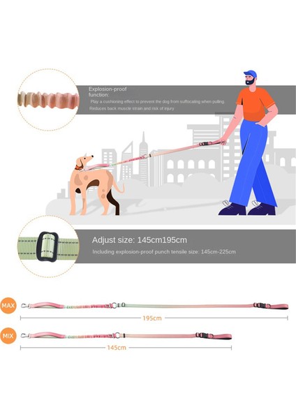 Pet Köpek Patlamalı Tasma Pet Tasma Bel Crossbody Bedava Eller Köpek Tasma Pembe Mor Gradyan (Yurt Dışından) fiyatları