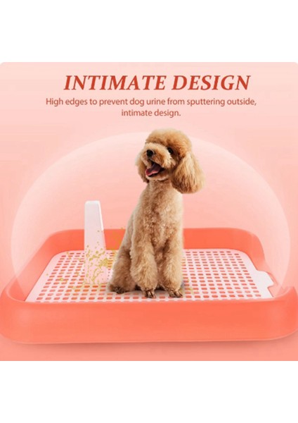 Kapalı Köpek Lazımlık Tepsisi Mesh Köpek Eğitimi Tuvalet Lazımlık Tepsisi Köpek Tuvalet Tuvalet Anti-Slide Köpek Tuvaletler Anti Mesh Eğitim A (Yurt Dışından) fırsatları