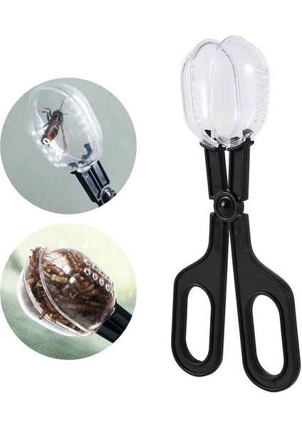 Sürüngen Teraryum Plastik Maşa Cımbız Yetiştirme Besleme Aracı Klips Yetiştirme Çocukları Bitki Böcek Biyolojisi Çalışma Aracı A (Yurt Dışından) indirimleri
