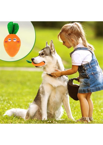 Köpek Squeaky Havuç Köpek Oyuncakları Peluş Dolgulu Yumuşak Köpek Çiğneme Oyuncakları Etkileşimli Evcil Hayvan Malzemeleri Küçük Orta Köpek Diş Bakımı (Yurt Dışından) indirimleri