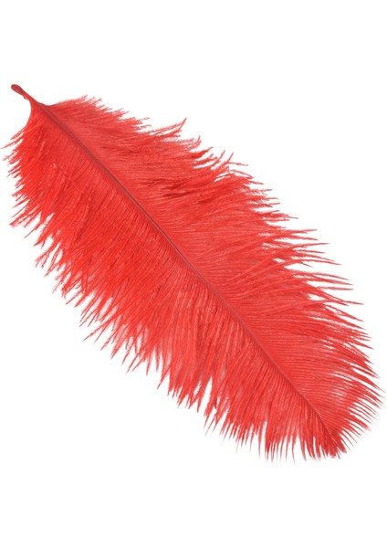 10 Adet Doğal Devekuşu Tüyleri Düğün Partisi Dekorasyonu Kırmızı 20-25CM (Yurt Dışından)