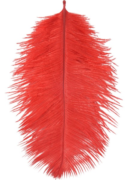 10 Adet Doğal Devekuşu Tüyleri Düğün Partisi Dekorasyonu Kırmızı 20-25CM (Yurt Dışından) fiyatları