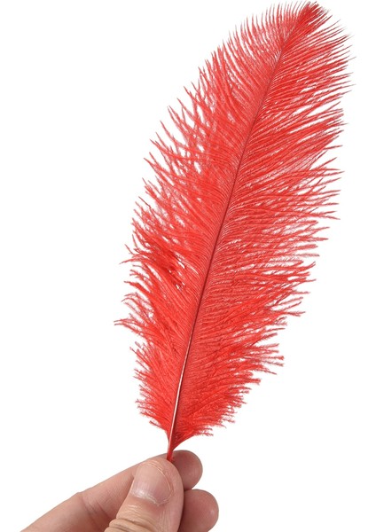 10 Adet Doğal Devekuşu Tüyleri Düğün Partisi Dekorasyonu Kırmızı 20-25CM (Yurt Dışından) modelleri