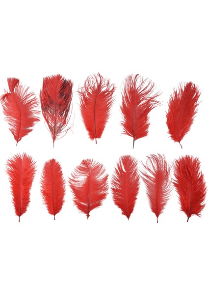 10 Adet Doğal Devekuşu Tüyleri Düğün Partisi Dekorasyonu Kırmızı 20-25CM (Yurt Dışından) fırsatları