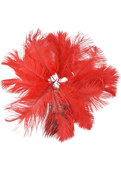 10 Adet Doğal Devekuşu Tüyleri Düğün Partisi Dekorasyonu Kırmızı 20-25CM (Yurt Dışından) indirimleri