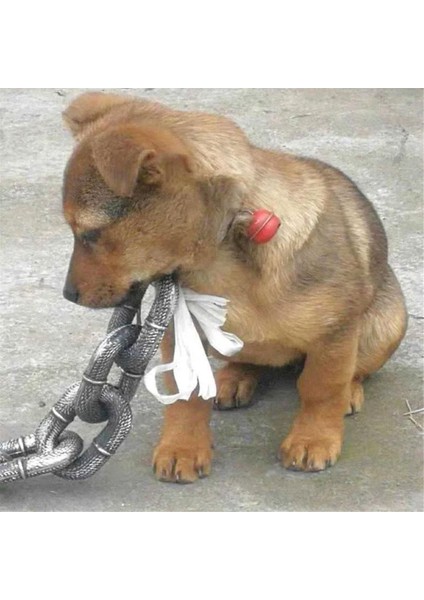 Köpek Çekiş Halat Simülasyon Kalın Zincir Büyük Demir Zincir Komik Şaka Köpek Yürüyüş Evcil Hayvan Malzemeleri Halat Antik Gümüş (Yurt Dışından) modelleri