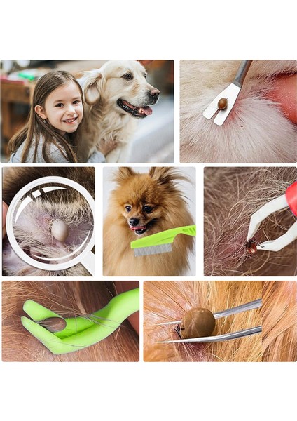 Köpekler ve Kediler Için Saklama Kutulu 7 Parçalı Kene Çıkarma Aleti Seti (Yurt Dışından) fırsatları