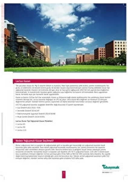 Lectus 90 Kw Pompa Dahil Duvar Tipi Yoğuşmalı Kazan