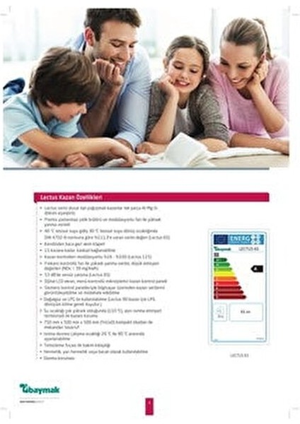 Lectus 90 Kw Pompa Dahil Duvar Tipi Yoğuşmalı Kazan