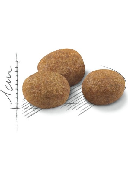 Sterilised +7 Yaş Üzeri Kısırlaştırılmış Kedi Maması 1,5Kg