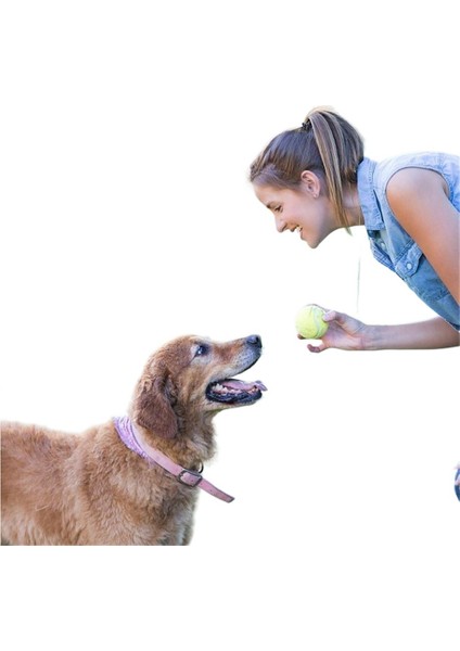 Köpek Oyuncak Topu Kendi Kendine Eğlence Eseri Evcil Hayvan Border Collie Golden Retriever Corgi Çiğnemeye Dayanıklı Top Eğitim Diş Çıkarma Tenis Topu Kauçuk (Yurt Dışından)
