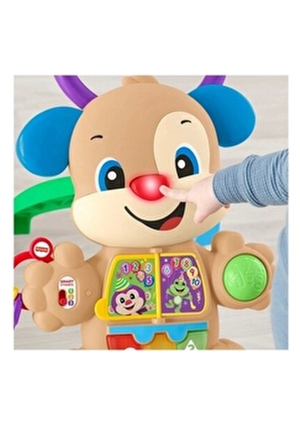 Köpekçik Yürüteç 0-3 Yaş Arası Bebeğiniz İçin Eğitici Aktiviteler Sunar fırsatları