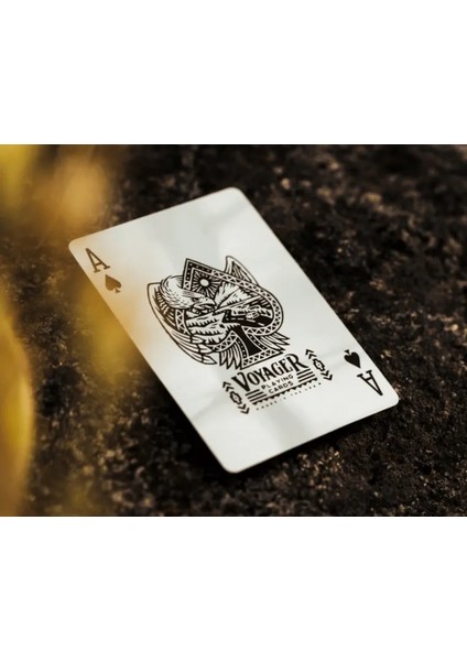 Voyager Oyun Kartı modelleri